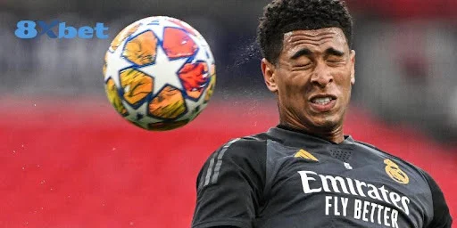 Tỷ lệ cược 8xbet - tỷ lệ cược world cup live 2025 - Cầm tay chỉ cược từ A tới Z