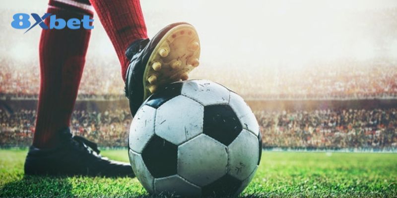 Soi kèo nhà cái 8xbet – Những loại kèo không nên tham gia đặt cược