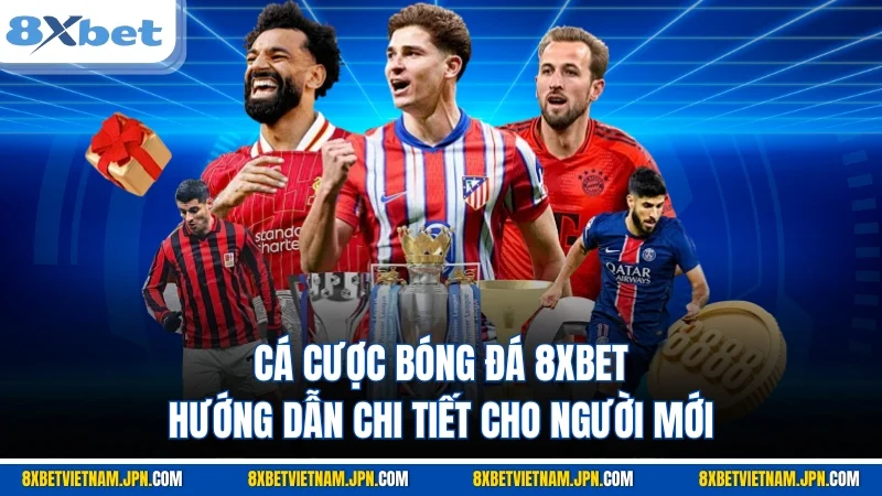 Cá cược bóng đá 8XBET