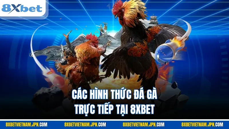 Các hình thức đá gà trực tiếp tại 8XBET