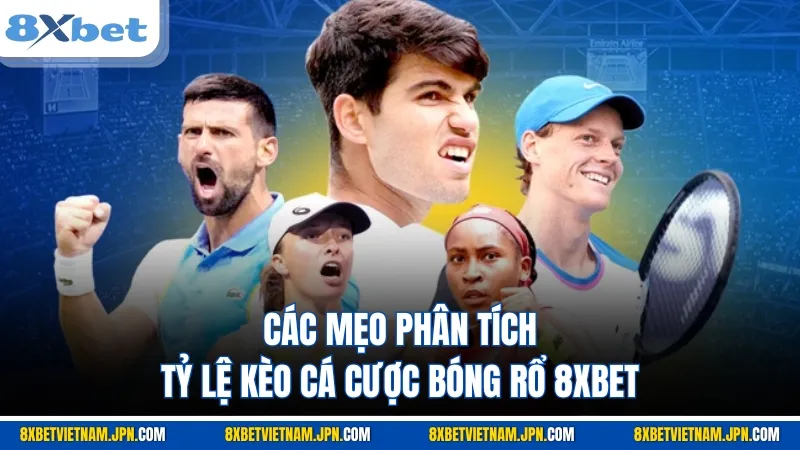 Các mẹo phân tích tỷ lệ kèo cá cược bóng rổ 8XBET