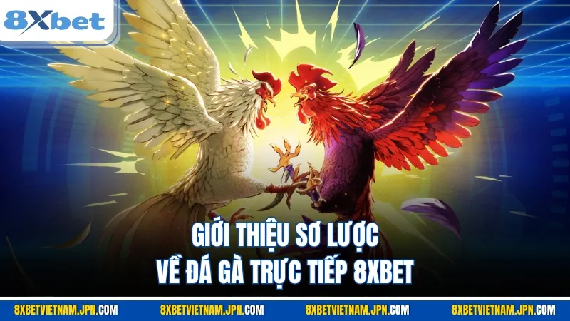 Giới thiệu sơ lược về đá gà trực tiếp 8XBET